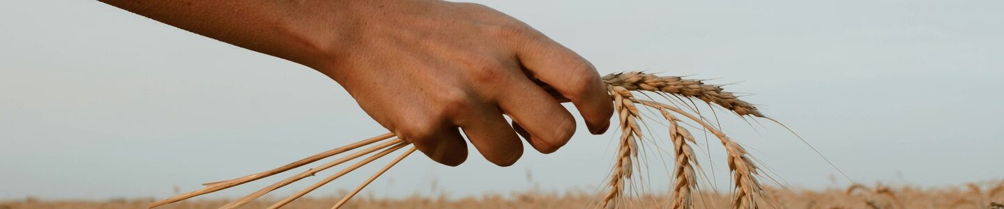 paz-arando-zwZusrYAGoM-unsplash