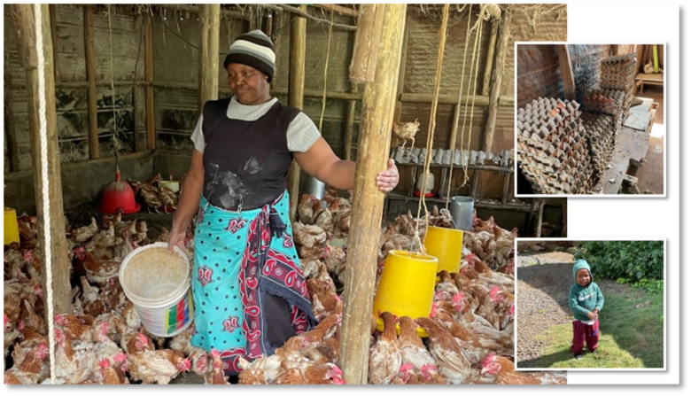 Bron: Annual Impact Report 2023, Cardano Impact Financal Inclusion Fund