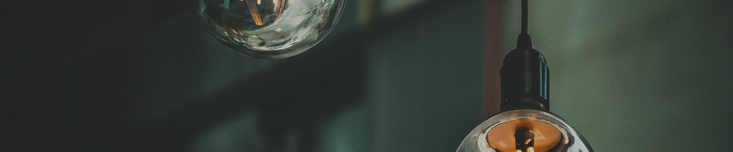 bulbs