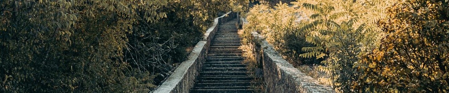 stjepan-motusic-oyb538HZqN4-unsplash