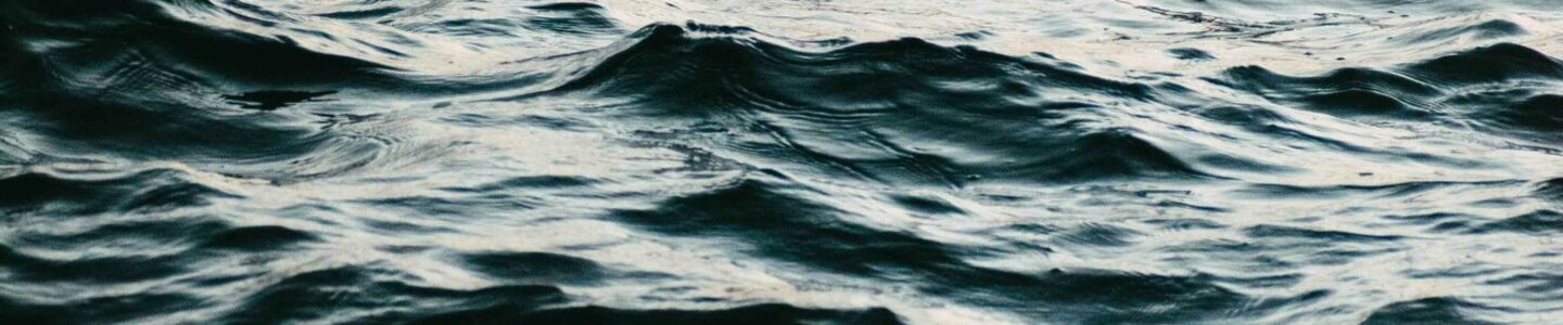 izdhan-imran-wQQYvQV0PRI-unsplash