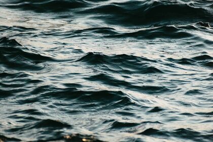 izdhan-imran-wQQYvQV0PRI-unsplash