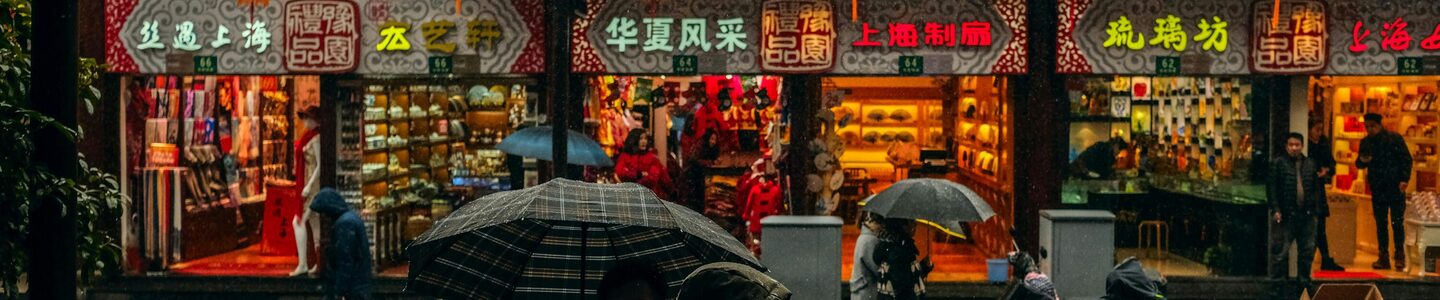 nuno-alberto-MykFFC5zolE-unsplash