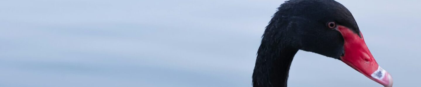 decry-yae-mW0DNsgIOTw-unsplash