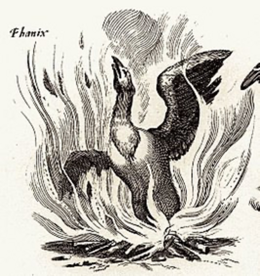phoenix
